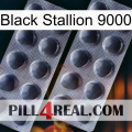 Black Stallion 9000 31